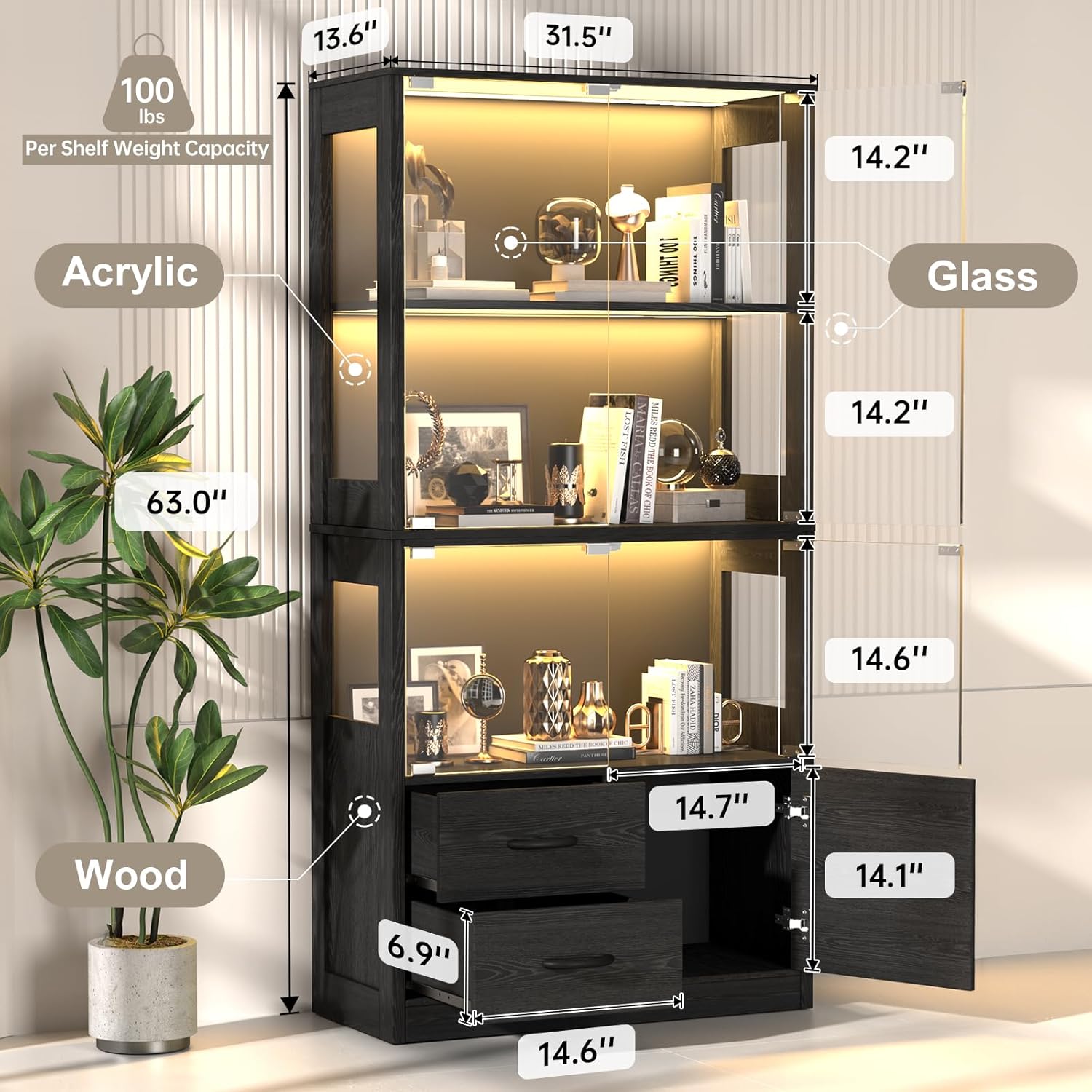 Black Oak LED Glass Door Display Storage Cabinet